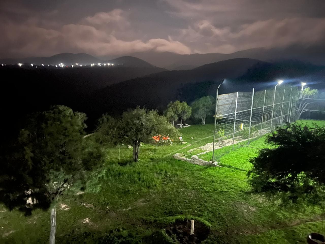 Imagen de la galería